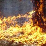 Туристов эвакуируют с Лазурного Берега Франции